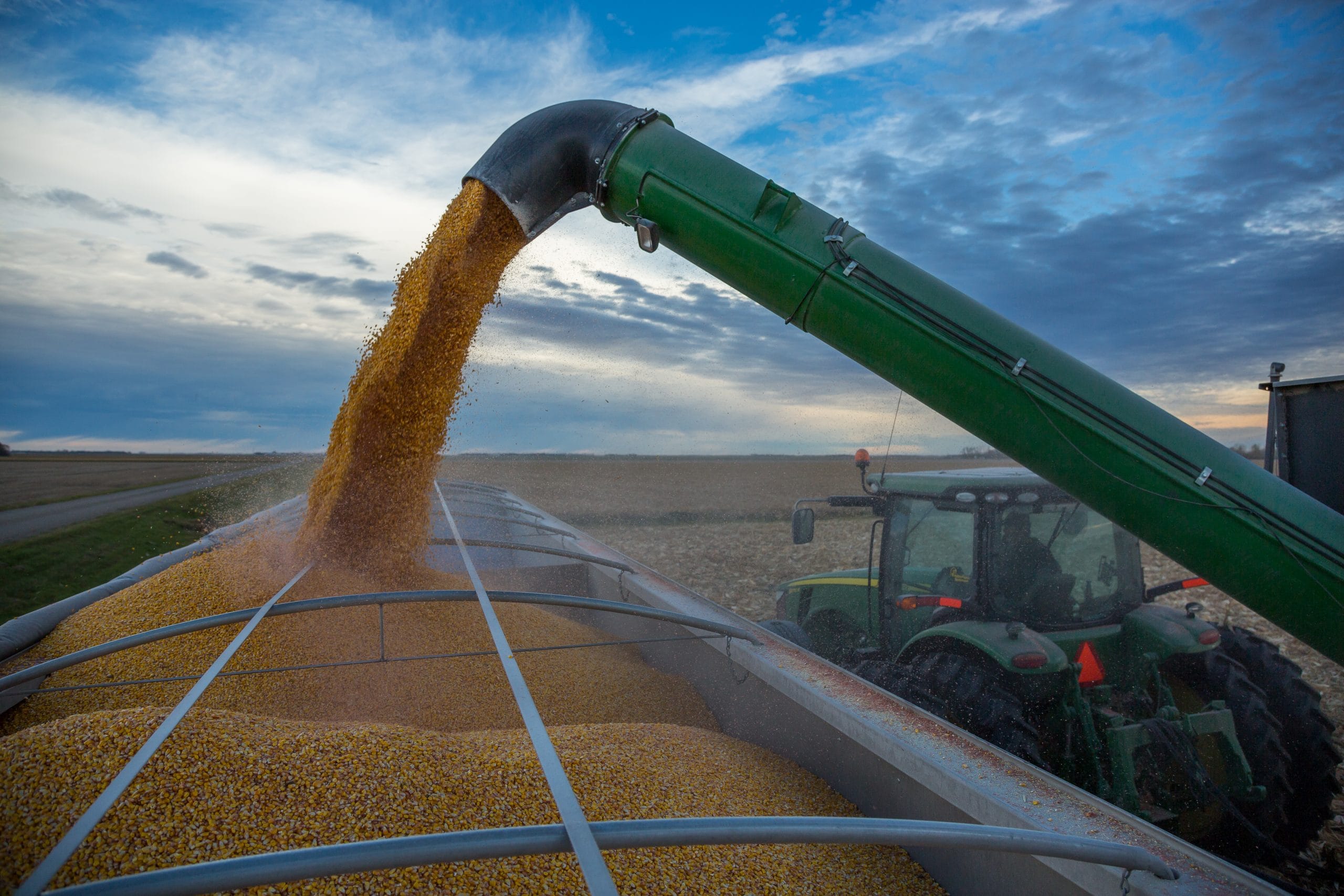 Kernel Farming Kernel Weight Leads to Record Breaking Yields - Peterson