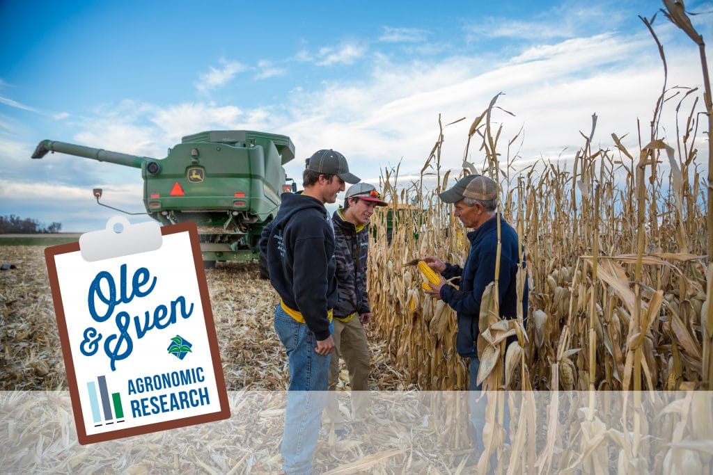 Corn Population_Harvest