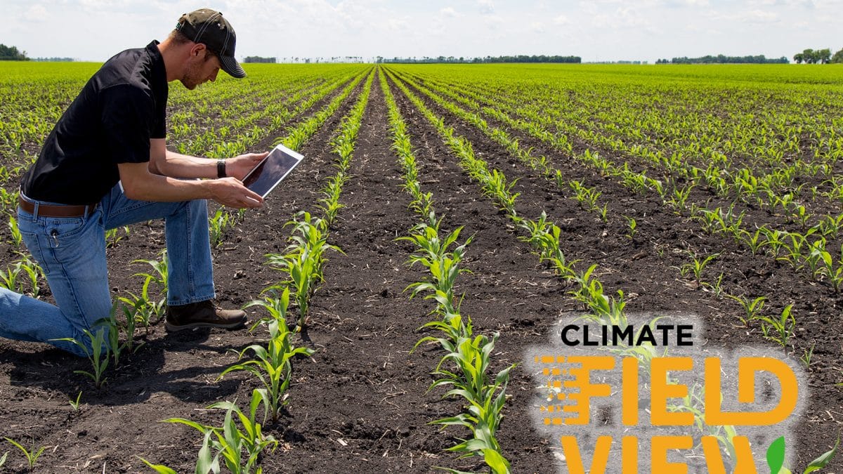 Climate FieldView