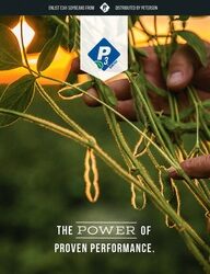 P3_Proven_Performance_200x250