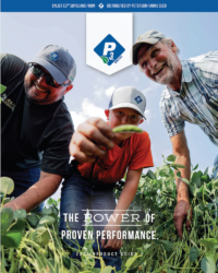 P3Cover_2025 P3Cover_2025